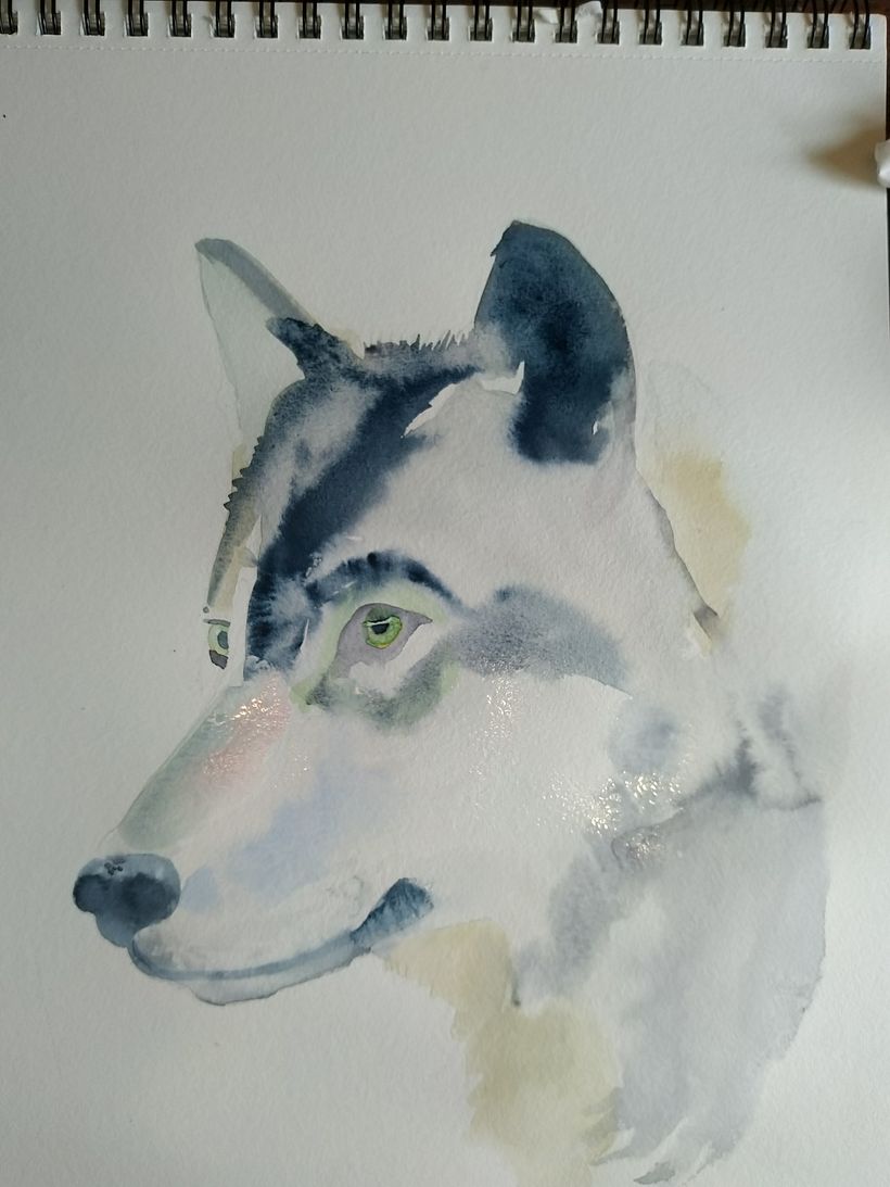 My project in Expressive Animal Portraits in Watercolor course 4