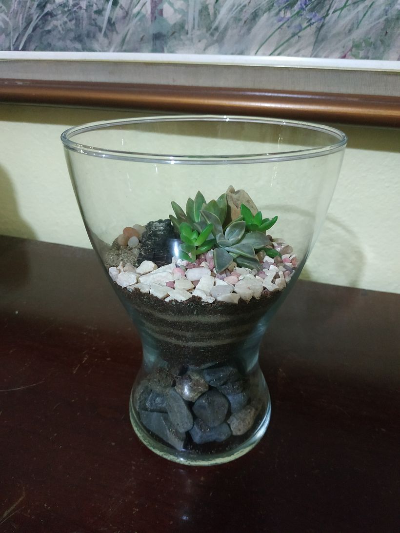 Mi Proyecto del curso: Arte vegetal: crea tu propio terrario abierto 2