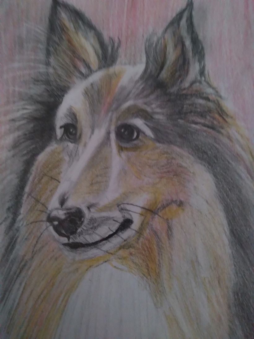 Adoro desenhar pets!