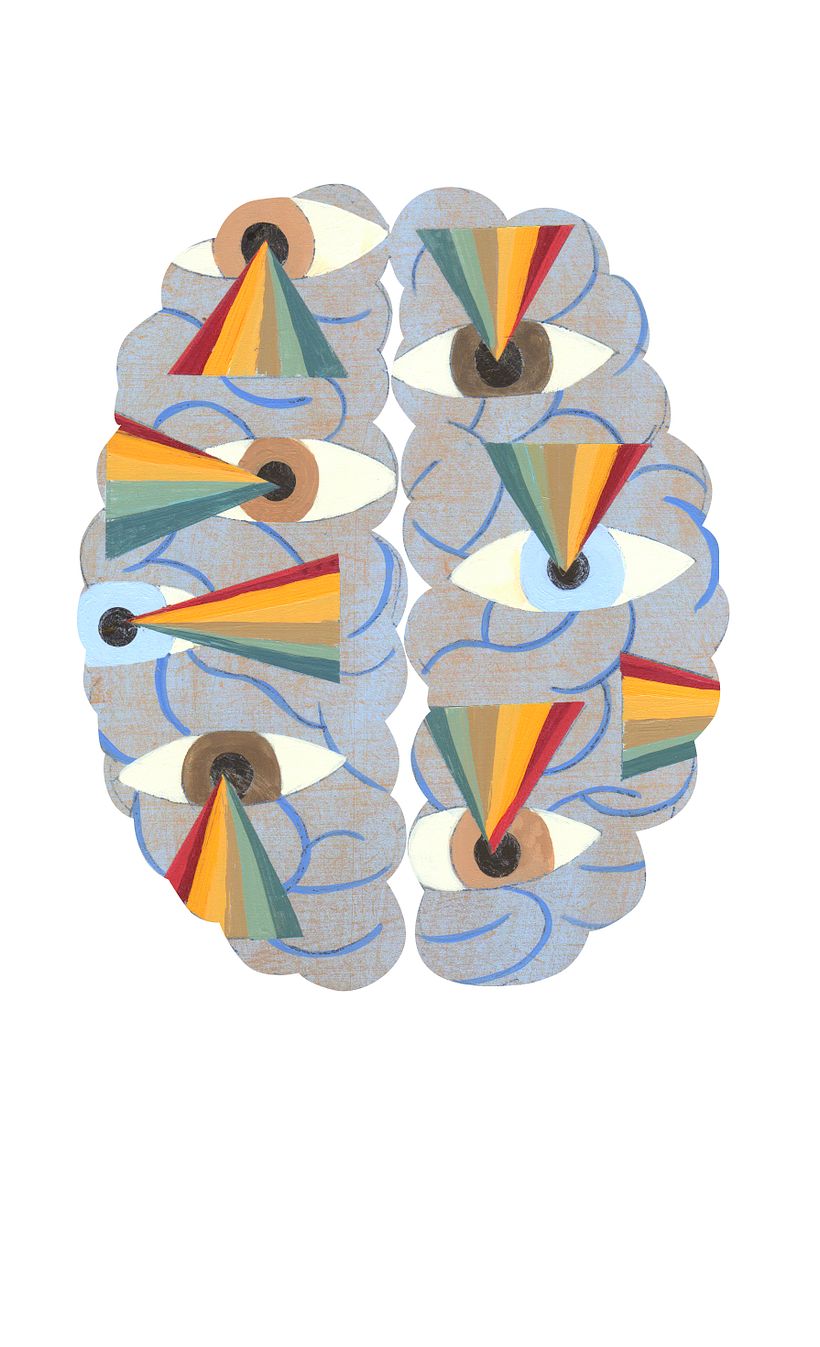 Cerebro Humano / Claves para entenderlo 1