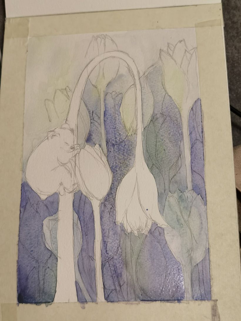 layer 2