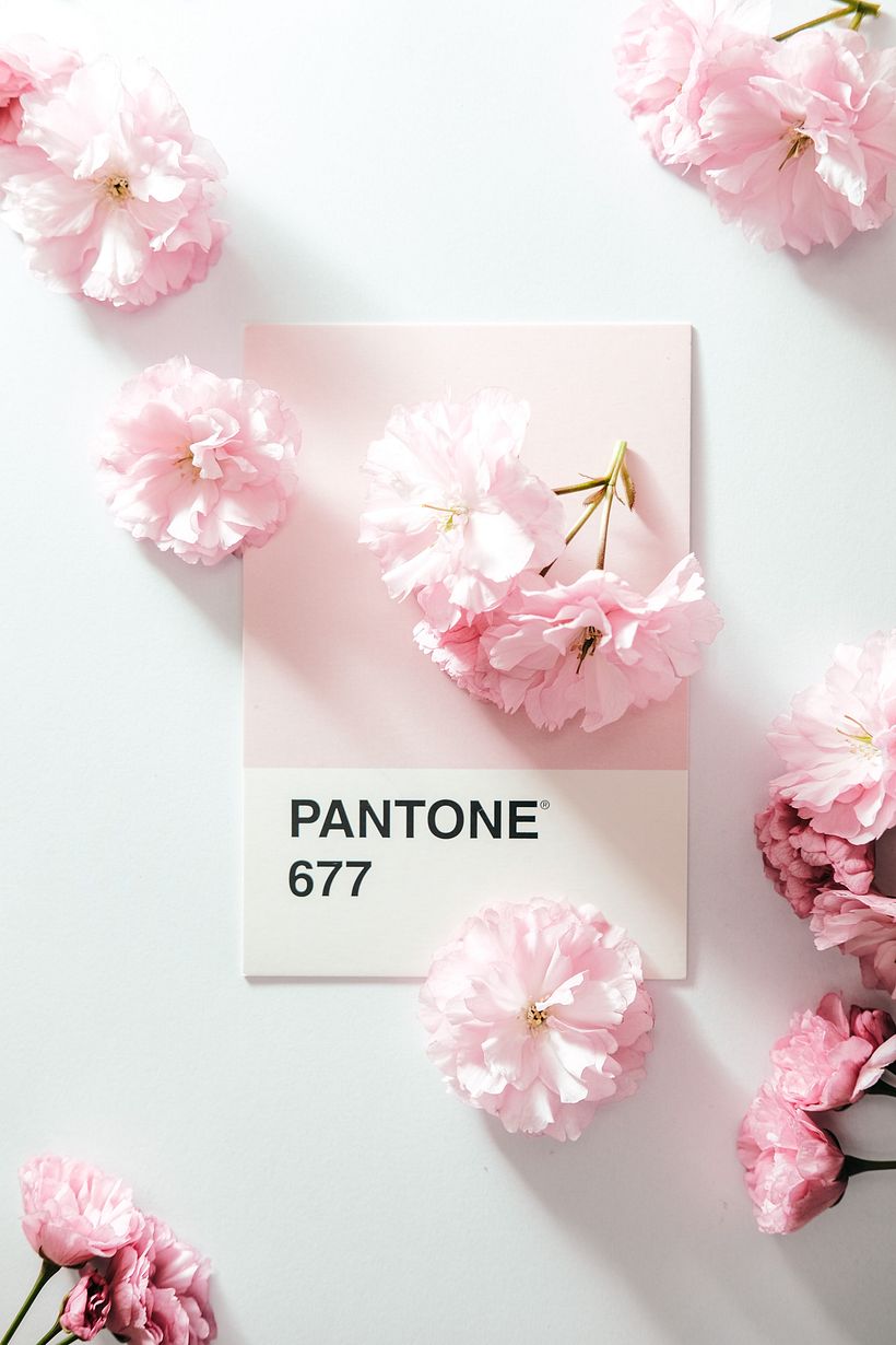 Todas as relações possíveis começam quando se escolhe uma cor-chave. Foto: Insung Yoon, Unsplash