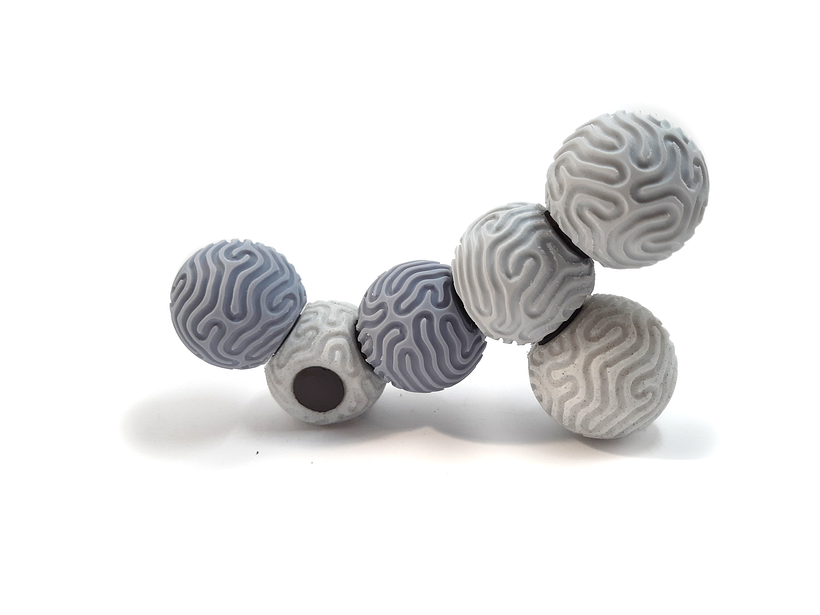 Carambola Initiative. 6