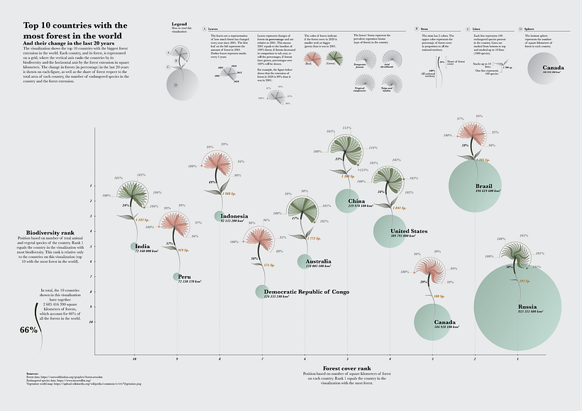 Top 10 biggest forests in the world and their change in the past 20 years 4
