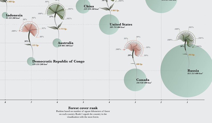 Top 10 biggest forests in the world and their change in the past 20 years 3