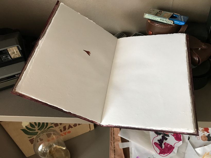 El papel artesanal tiene estas pequeñas flores en algunos lugares.