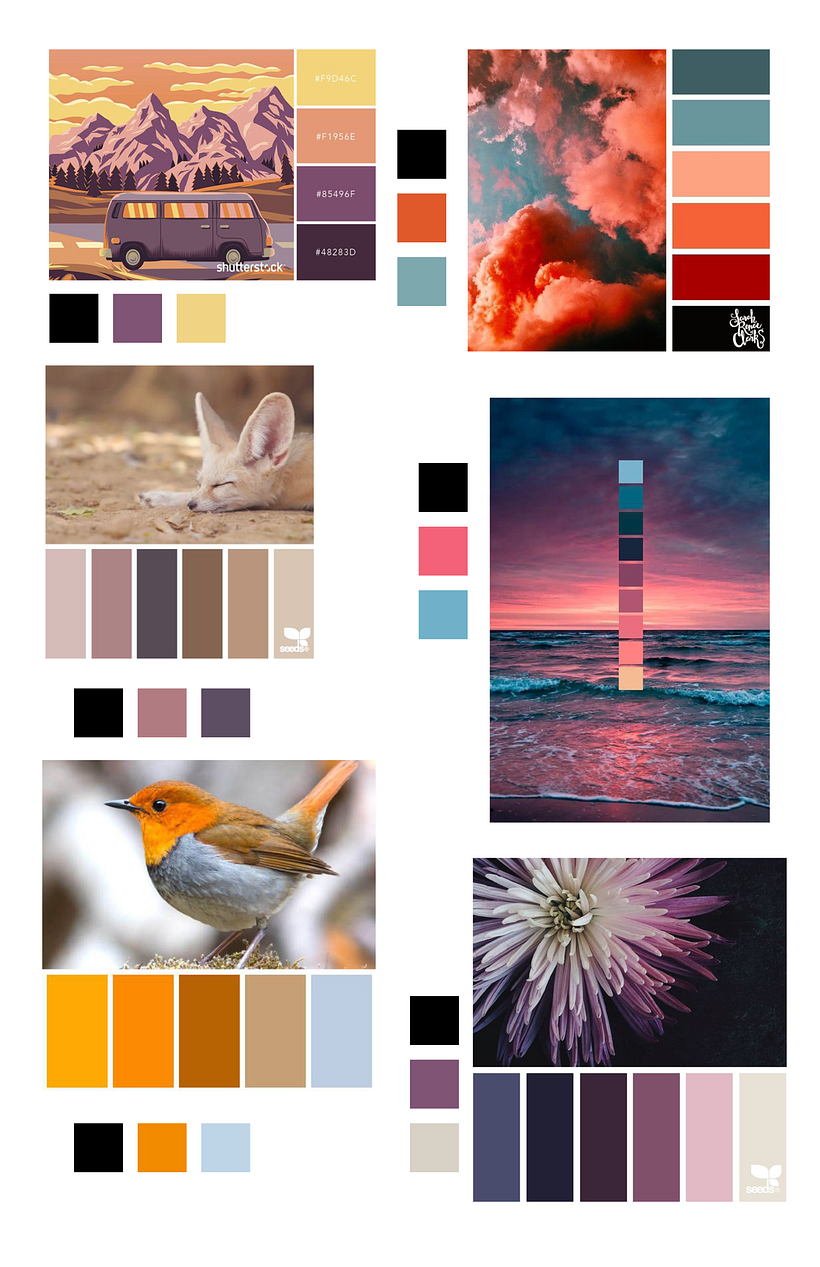 moodboard de colores