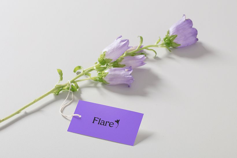 Flare 10