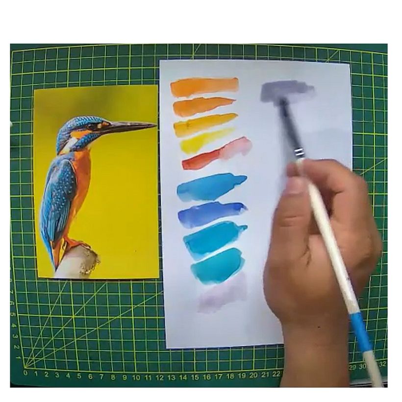 Mi Proyecto del curso: Acuarela artística para ilustración de aves 3