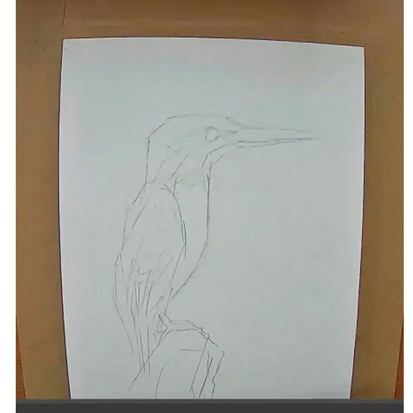 Mi Proyecto del curso: Acuarela artística para ilustración de aves 4