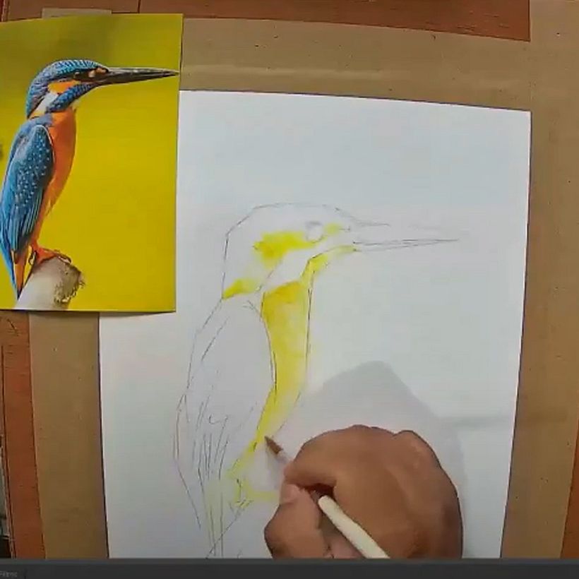 Mi Proyecto del curso: Acuarela artística para ilustración de aves 6