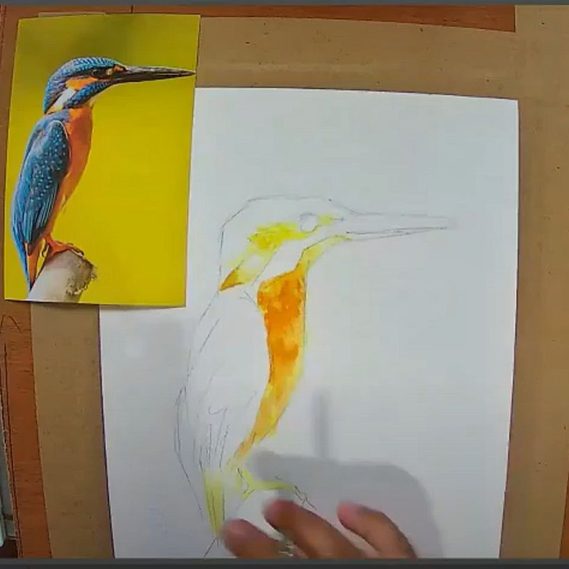 Mi Proyecto del curso: Acuarela artística para ilustración de aves 7