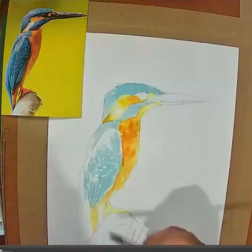 Mi Proyecto del curso: Acuarela artística para ilustración de aves 8