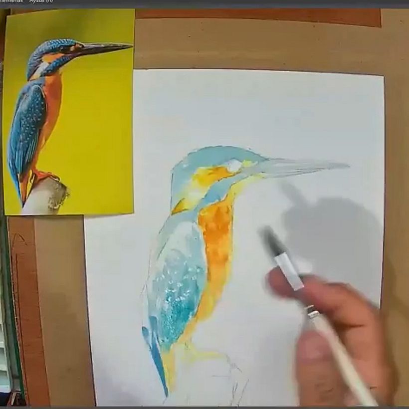 Mi Proyecto del curso: Acuarela artística para ilustración de aves 9