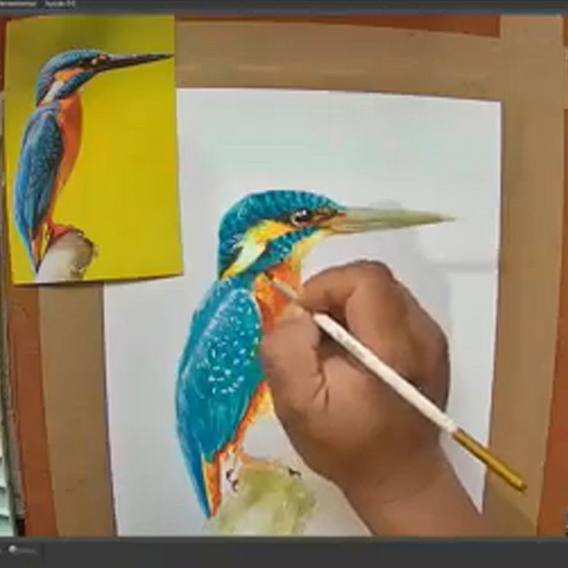 Mi Proyecto del curso: Acuarela artística para ilustración de aves 13