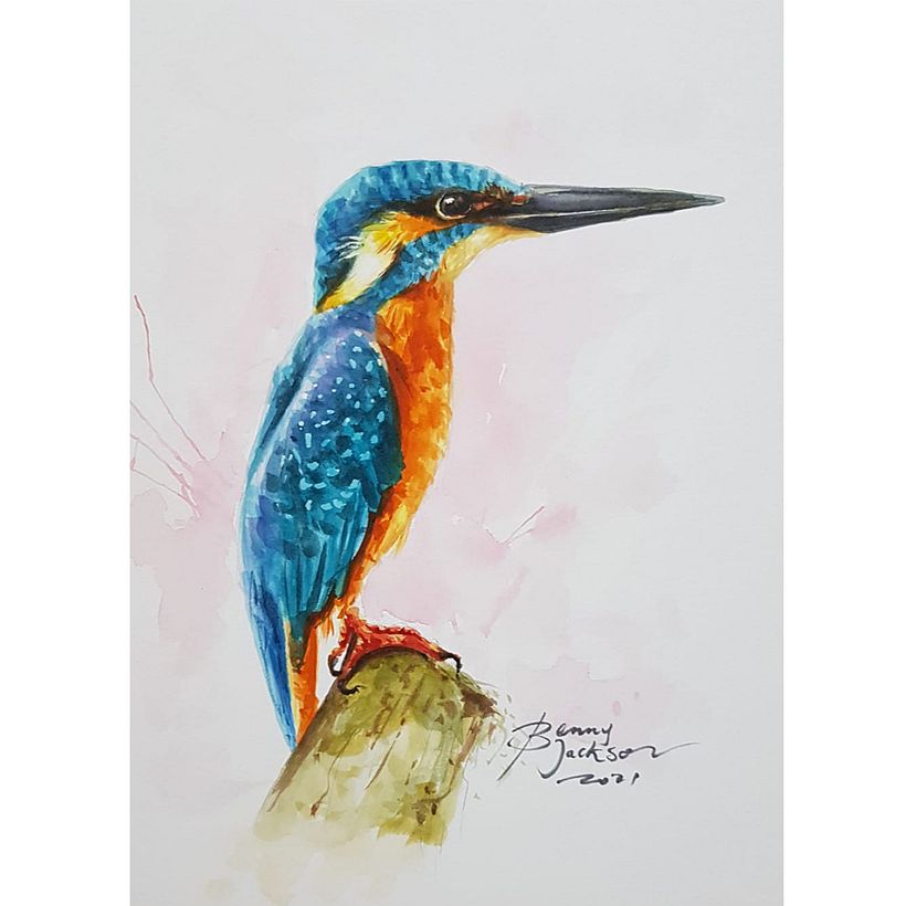 Mi Proyecto del curso: Acuarela artística para ilustración de aves 15