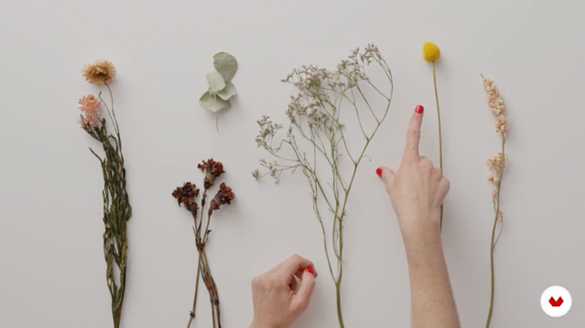 Muestra de flores secas.