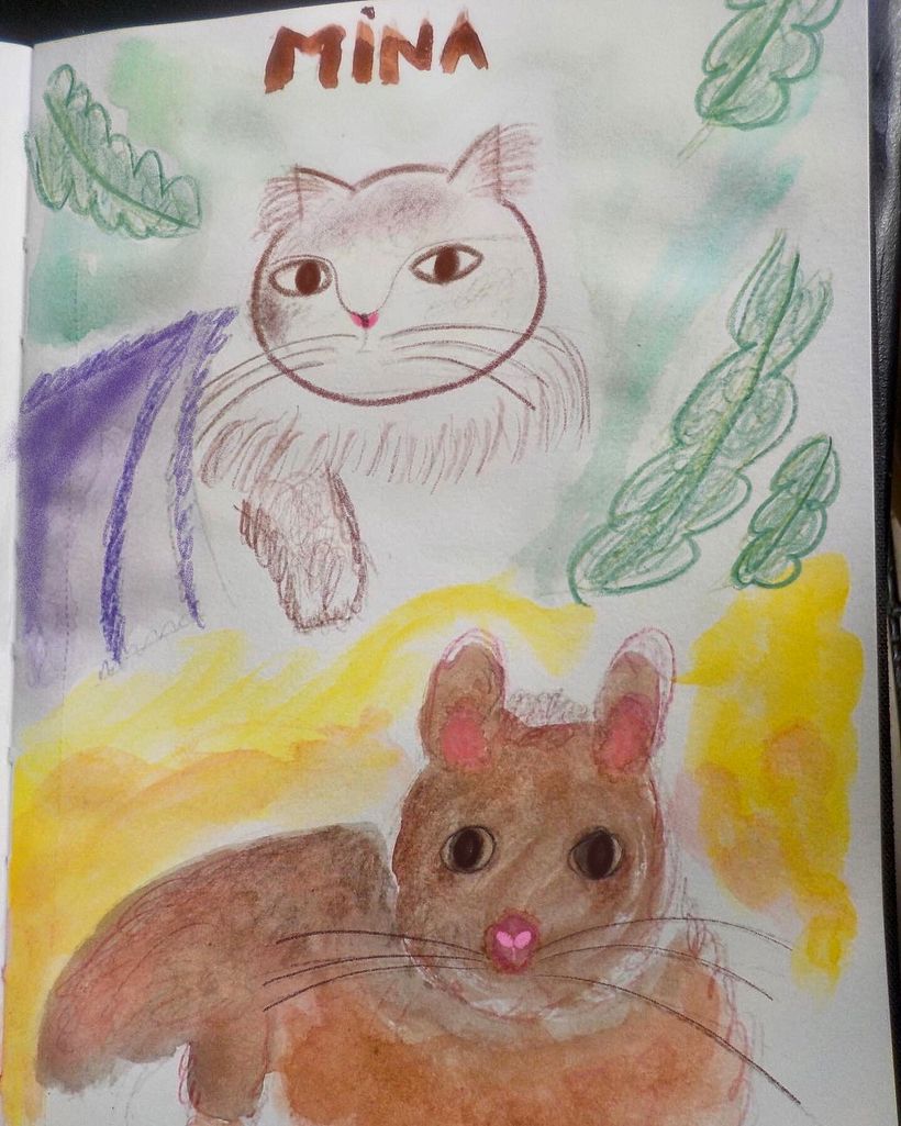 Cat and Possum