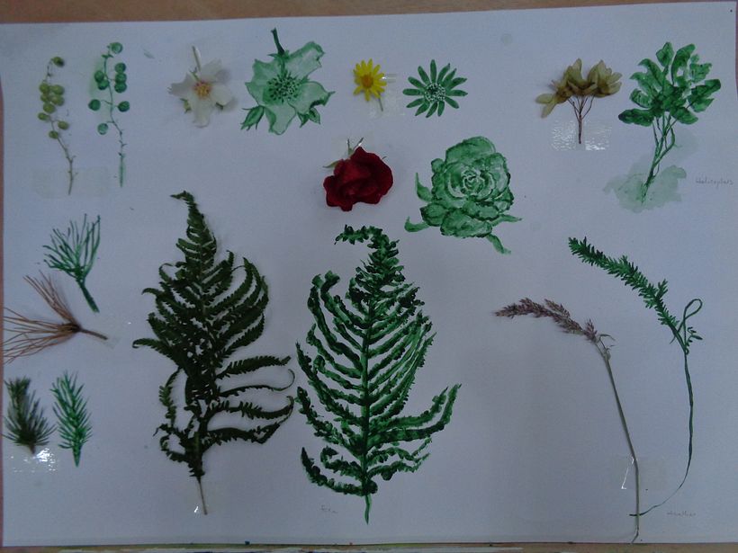 Unit 2 My Botanical Collection Inspiration Board