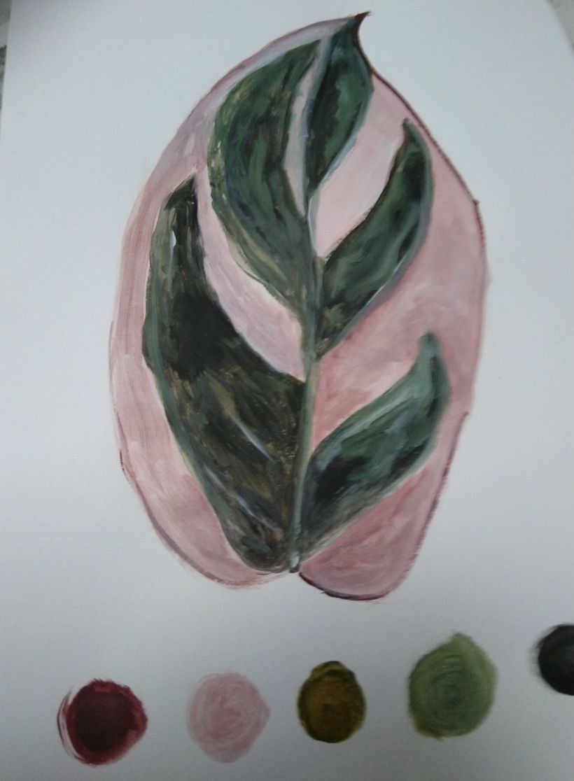 Unit 3.3 Study of a Tricolour Alathea