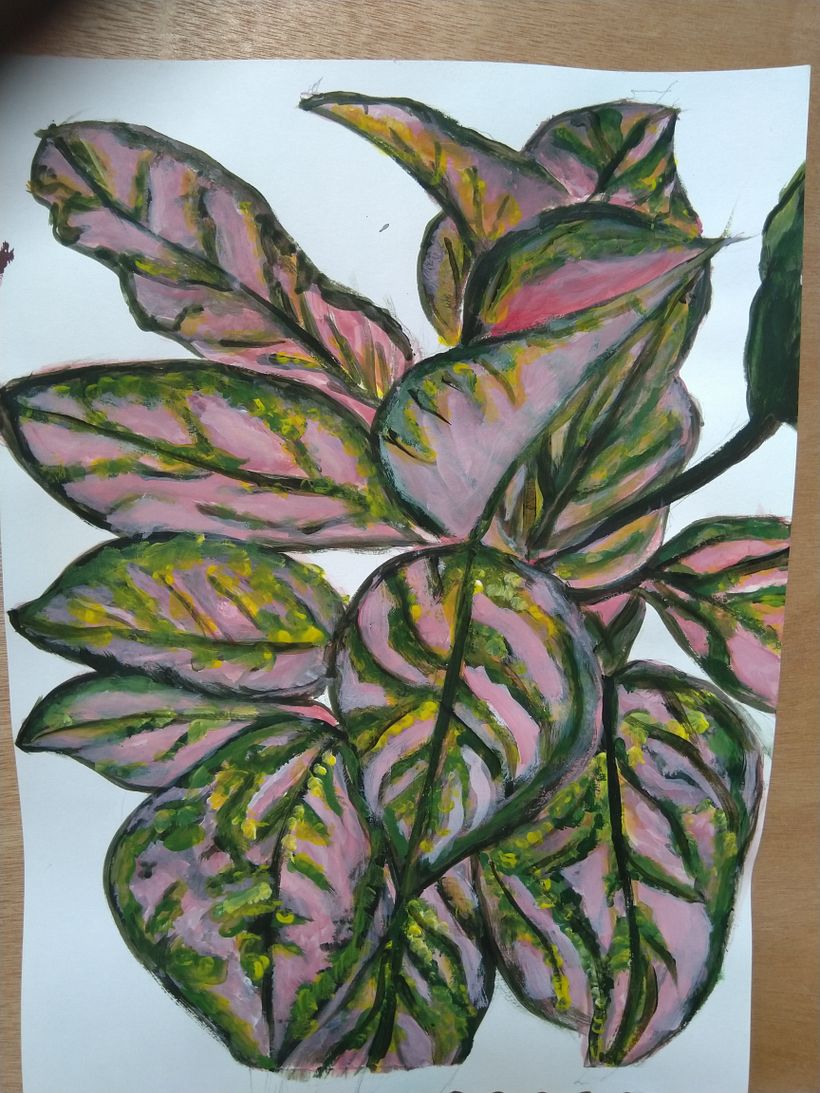 Ex 3.3  Practice Painting of an Aglaonema Hybrid plant
