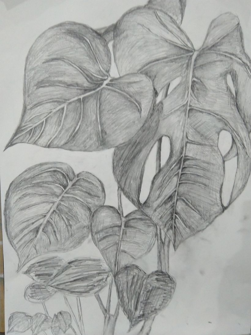 Unit 2 Movement and Grace - Let Go Of Your Hand - Pencil sketch