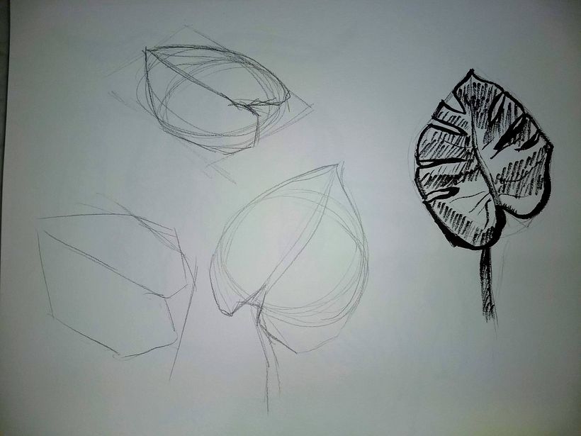 My project in Daily Sketching for Creative Inspiration course 11