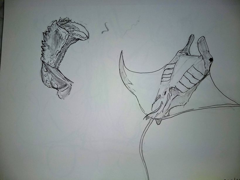 My project in Daily Sketching for Creative Inspiration course 14