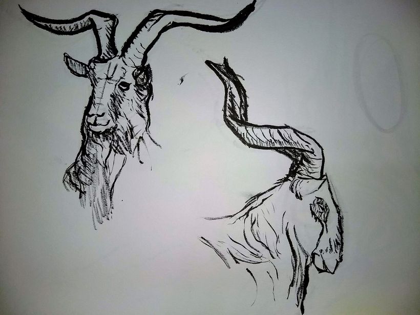 My project in Daily Sketching for Creative Inspiration course 22