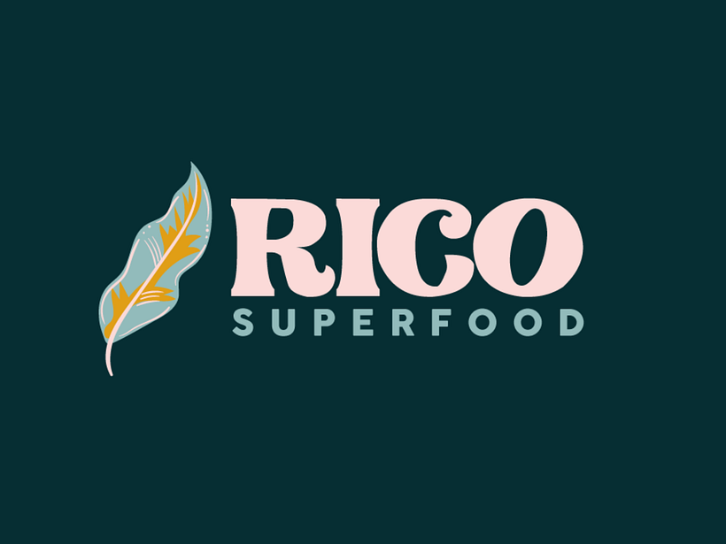 Rico - Brand identity 4