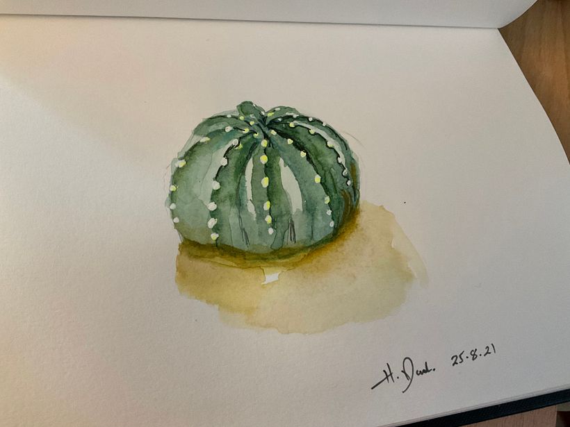 My project in Botanical Sketchbooking: A Meditative Approach course 8
