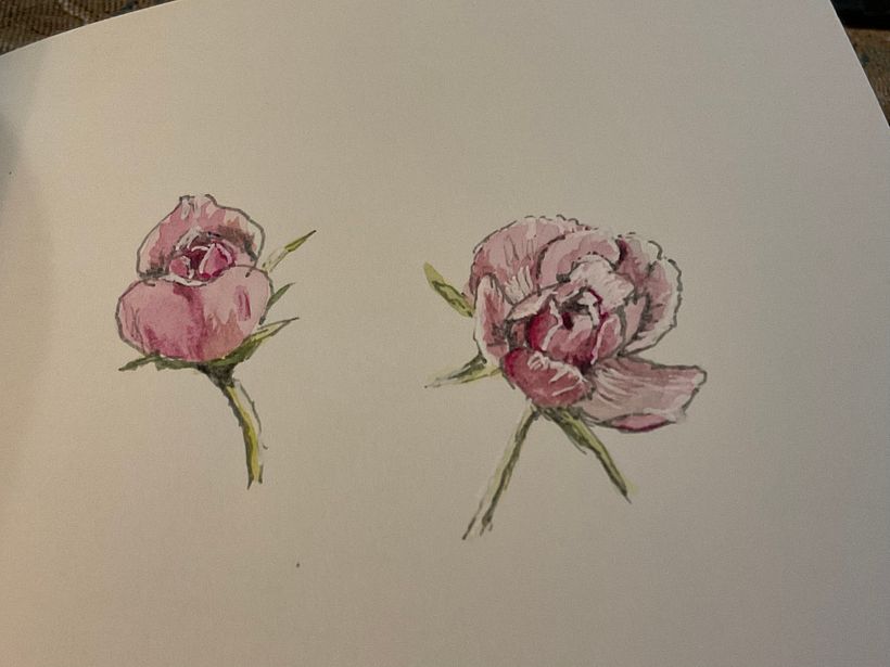 My project in Botanical Sketchbooking: A Meditative Approach course 6