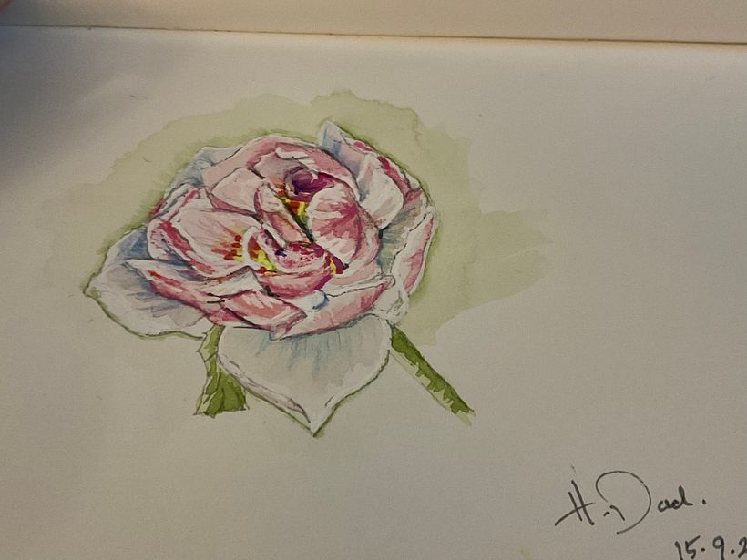 My project in Botanical Sketchbooking: A Meditative Approach course 7