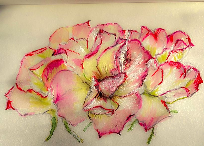 My project in Botanical Sketchbooking: A Meditative Approach course 9