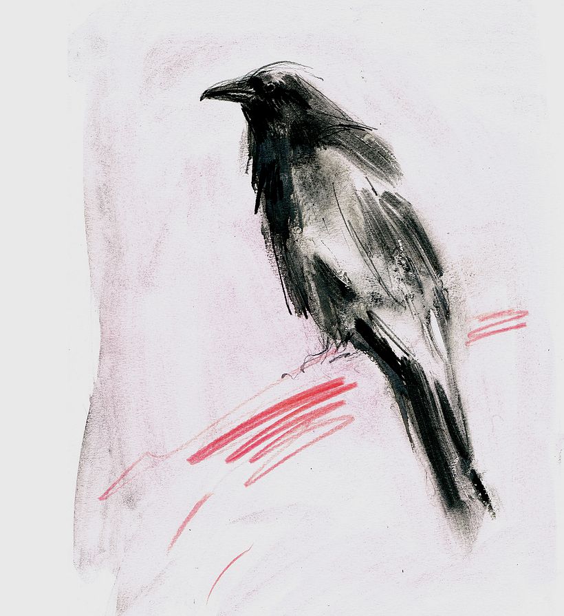 Ravens 2