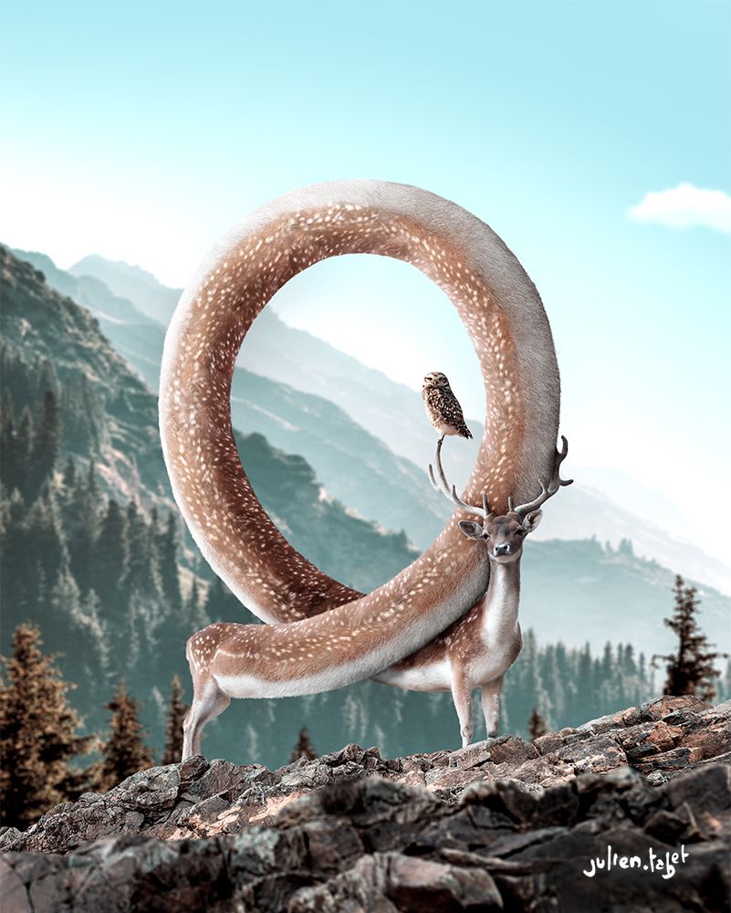 Infinideer 1