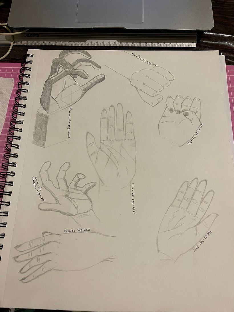Mi Proyecto del curso: Dibujo para principiantes nivel -1 4