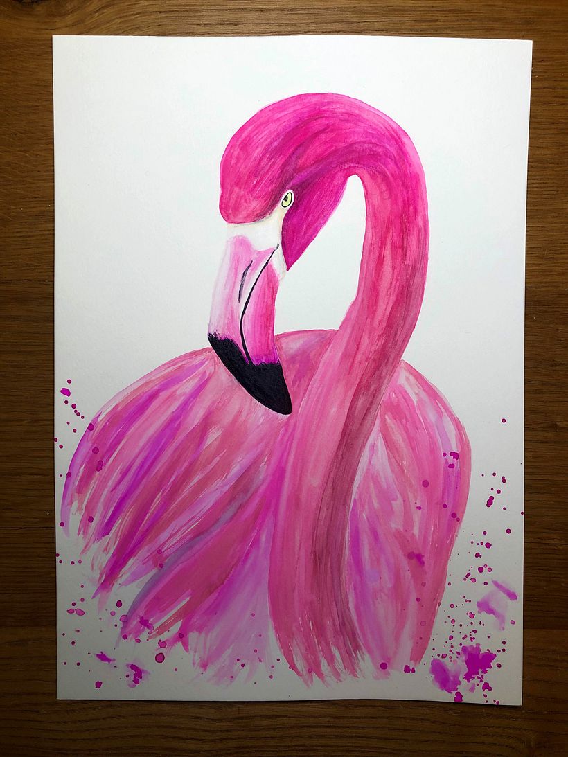 Flamingo 2