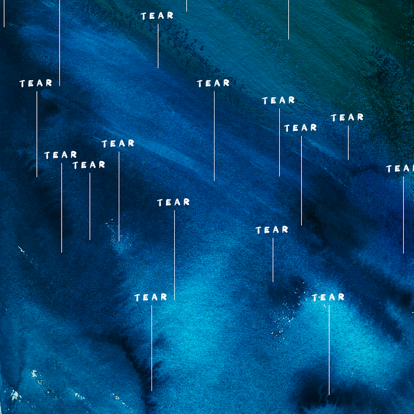 Day 6 / tear