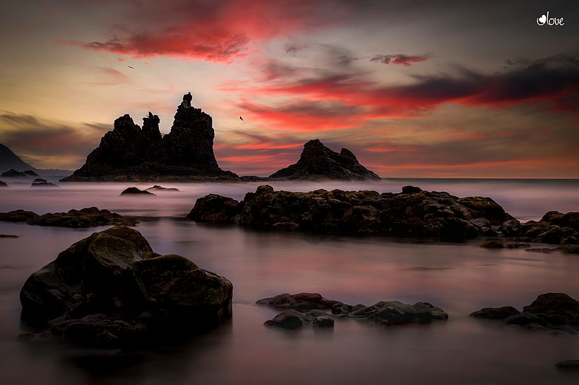 La naturaleza es la especialidad de la productora I love the world.