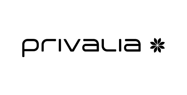 Analista Business Intelligence X PRIVALIA 1