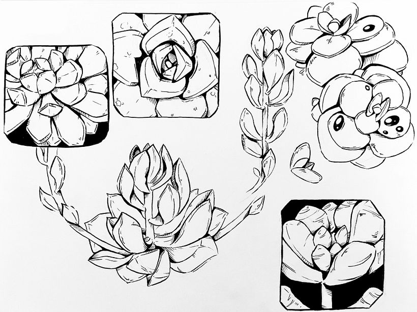 Mi Proyecto: 30 Días de Sketch 2