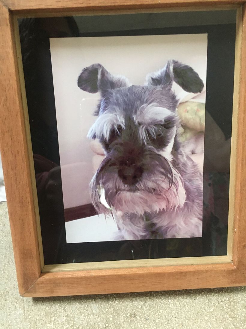 Mi Proyecto del curso: Iniciación al enmarcado 3