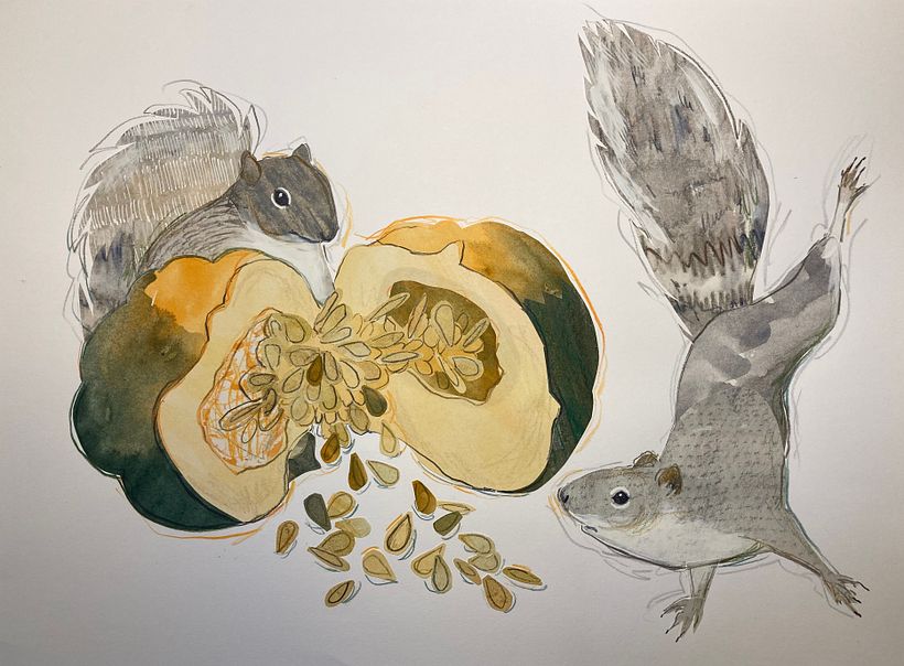 Final Project: Squirrels & Squash