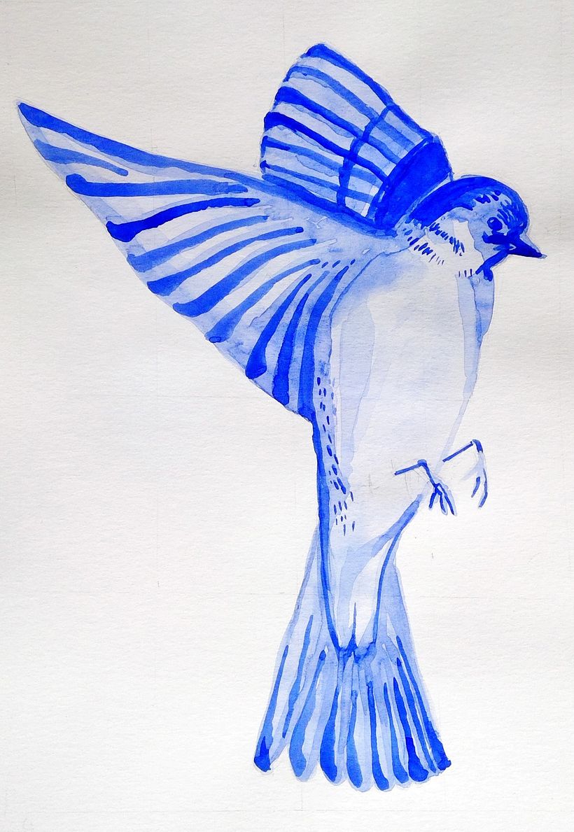 Bird