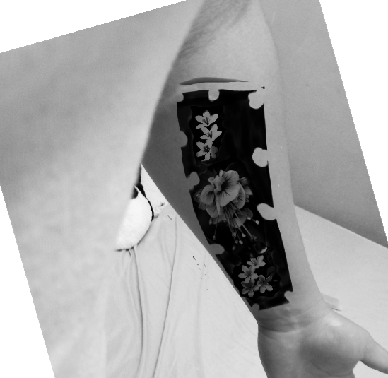 Mi Proyecto del curso: Tatuaje botánico con puntillismo 4
