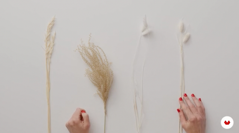 Sample of herbs and grasses.