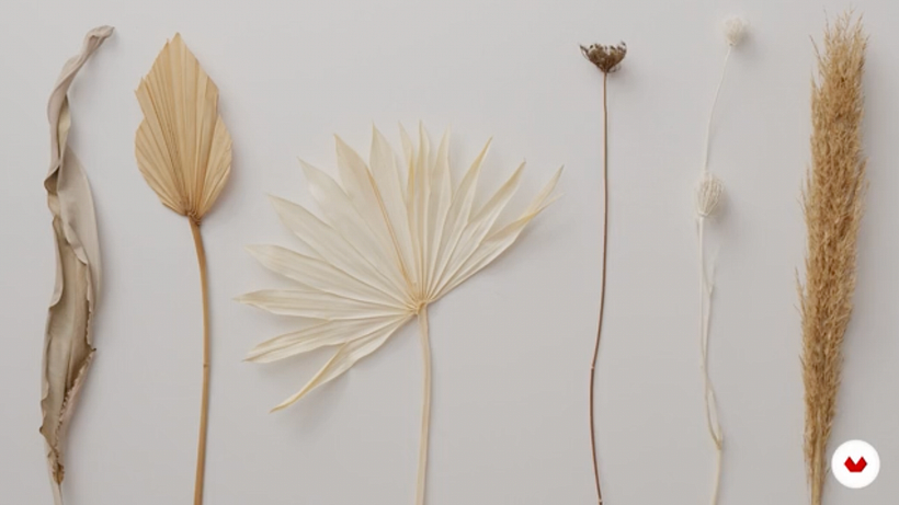 Sample of palms and pampas grass.