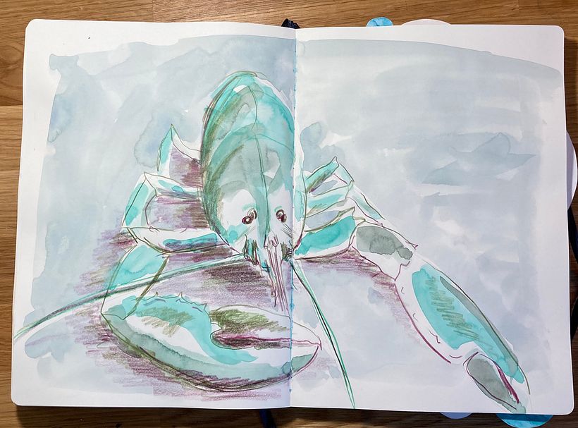 Using my sketchbook to play and explore 9