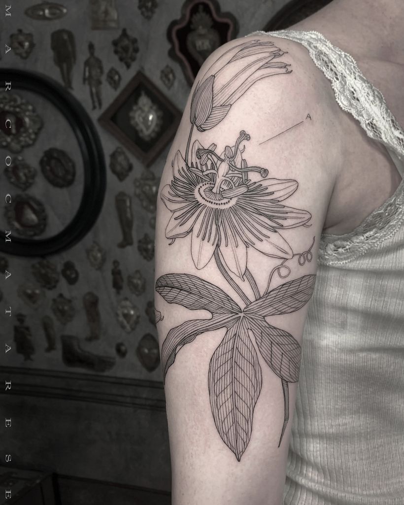 PASSIFLORA 1